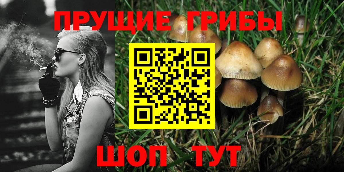 Галлюциногенные грибы Psilocybine cubensis  Псилоцибиновые грибы GOLDEN TEACHER  Барабинск  Вход с VPN 
